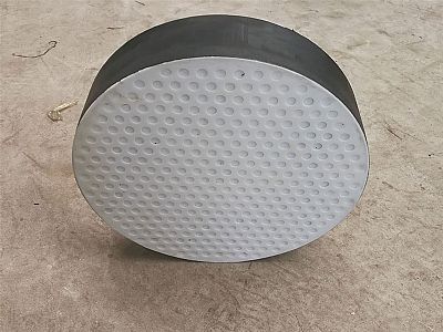 隆昌市四氟板式橡胶支座易于更换缓冲隔震